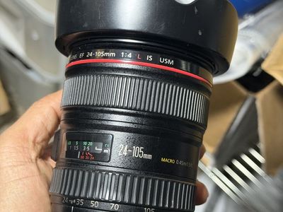 80D, 24-105 f4