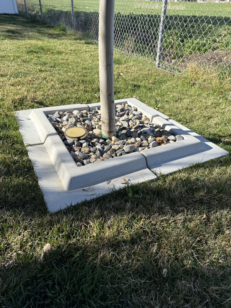 Concrete Square Tree Rings