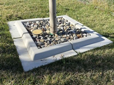 Concrete Square Tree Rings