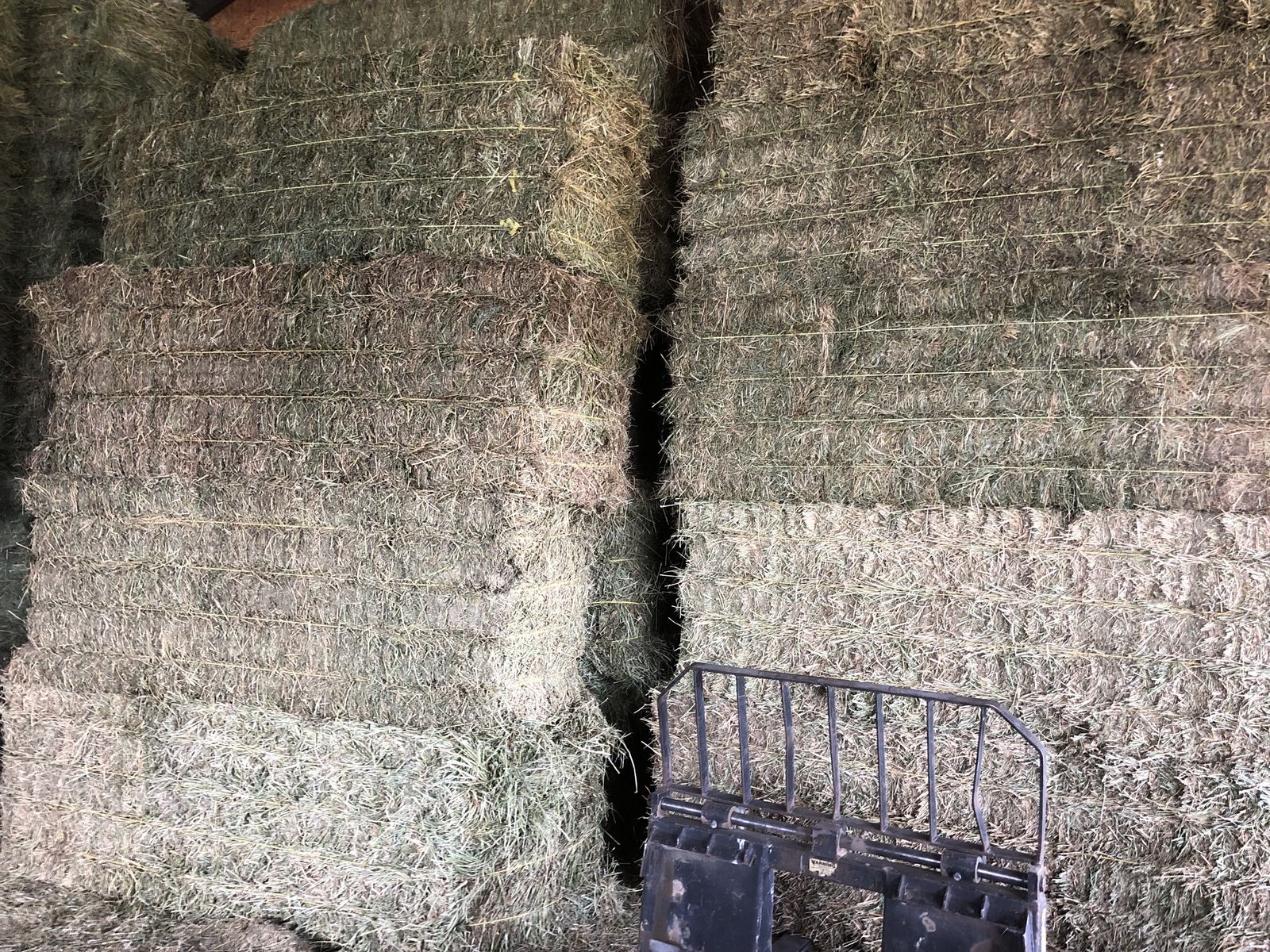 Grass/Alfalfa Hay Mix for Sale 3x3x8 bales for $175 per bale. 