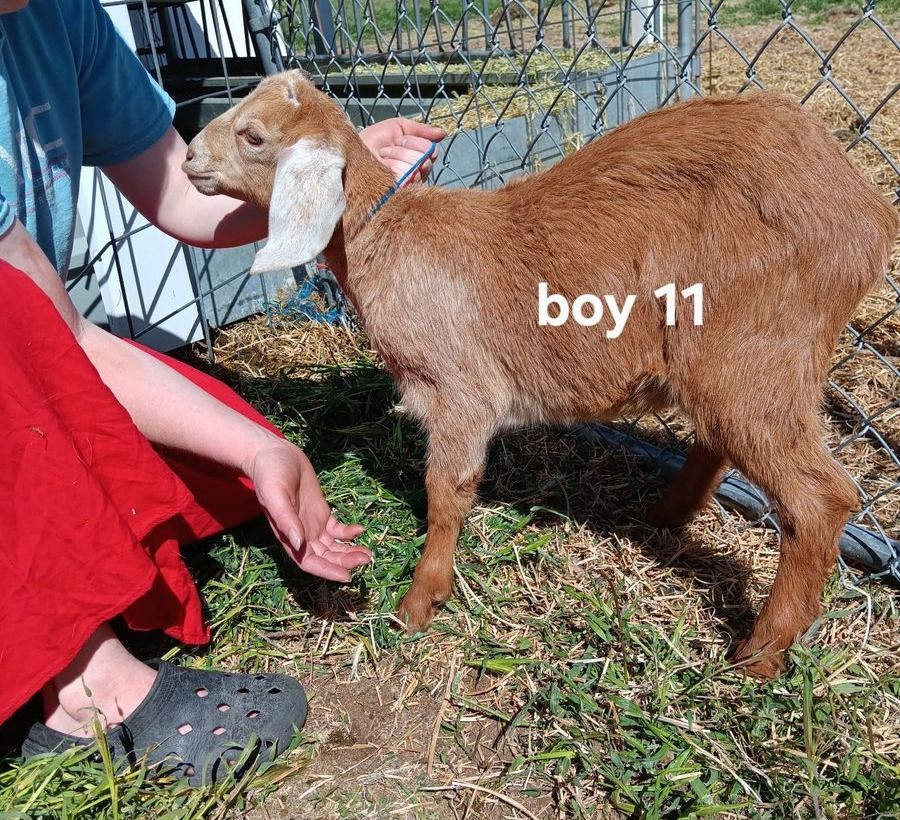 Main image 27