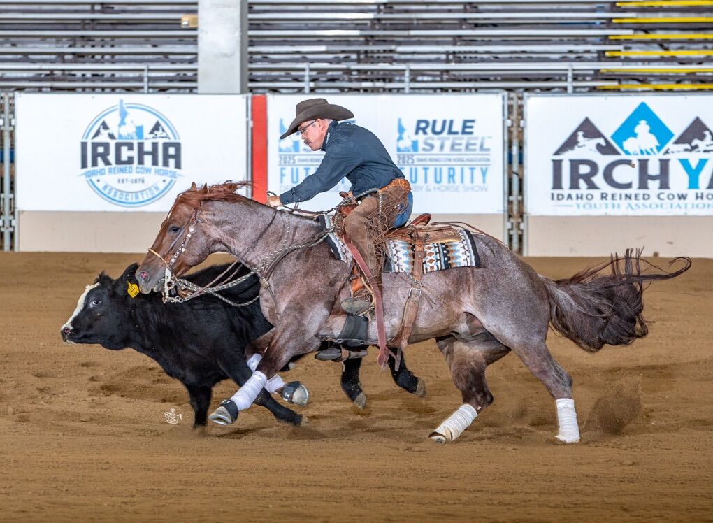 Metallic Cat Son $44000+ LTE