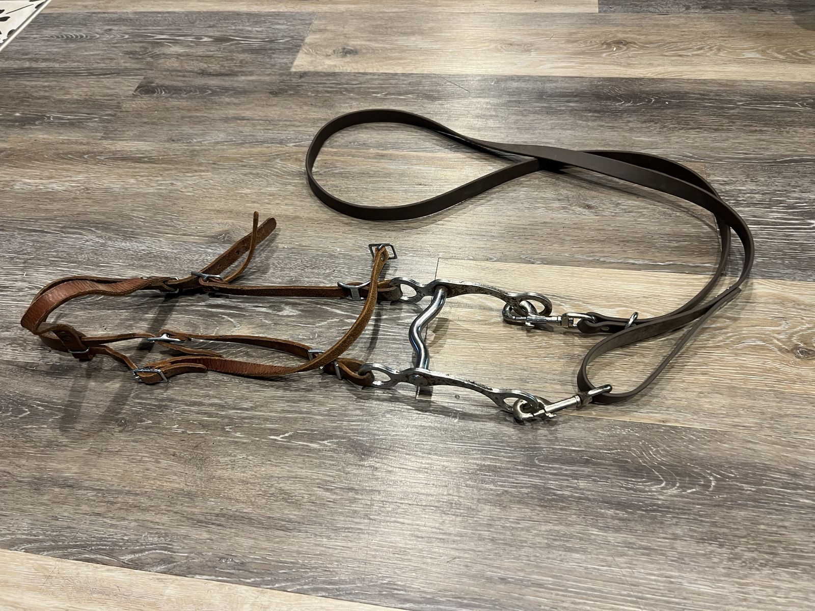 Pony bridle