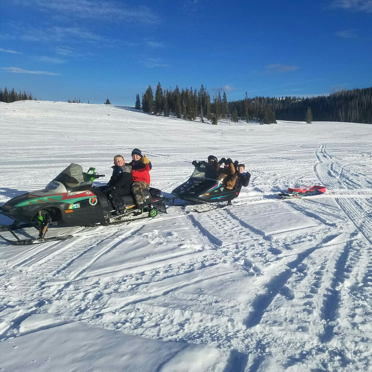 1998 Arctic cat powder special 600