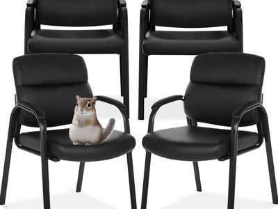 Oline Leather Guest Chair with Padded Arms
