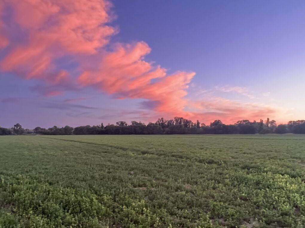 Alfalfa Field For Sale With Water Rights