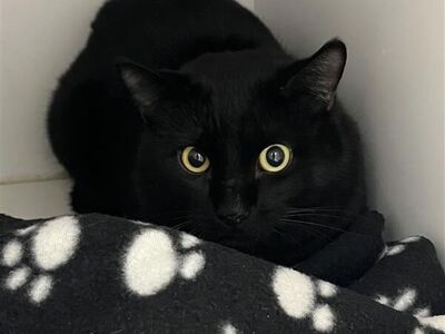 Hello my name is Miles