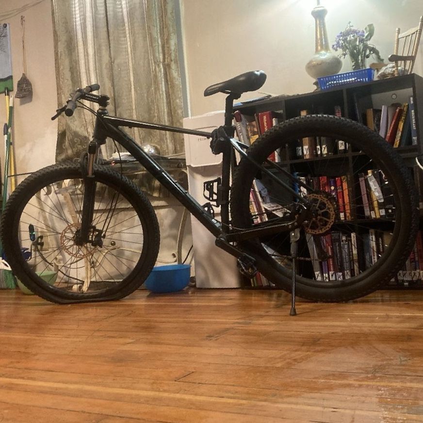 Ritchey schwin mountain bike