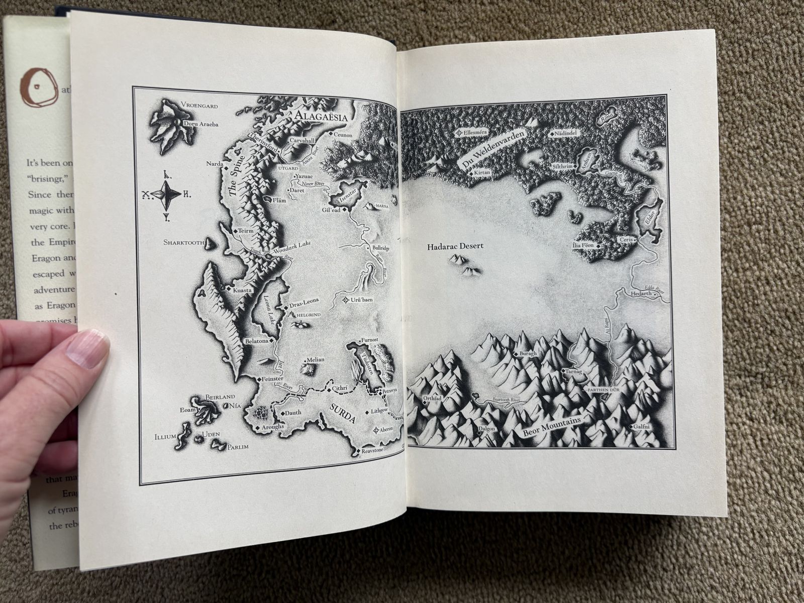 Main image 13