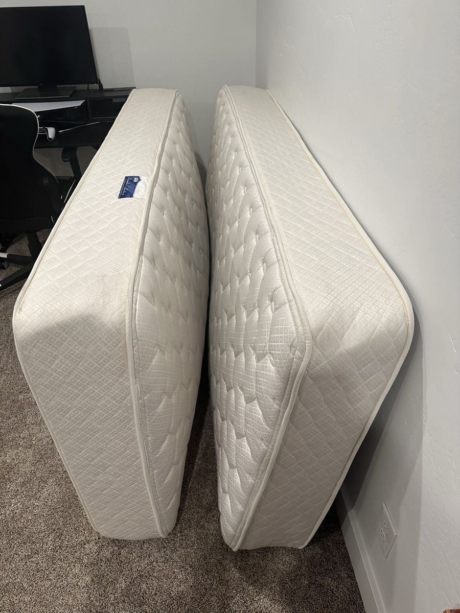 2 Twin Mattresses