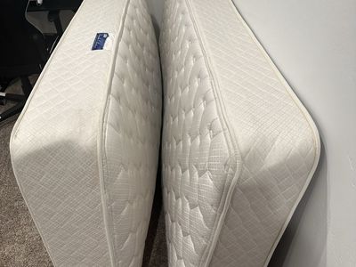 2 Twin Mattresses