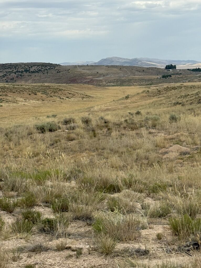 20 Acres Just South Of Yuba Lake