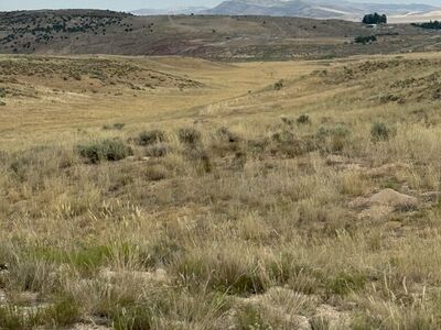 20 Acres Just South Of Yuba Lake