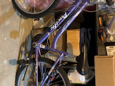 Pacific evolution mountain bike