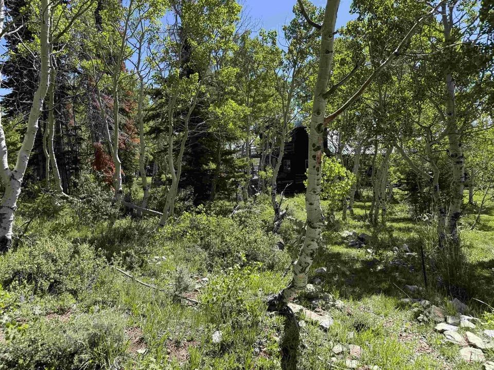 Main image 42