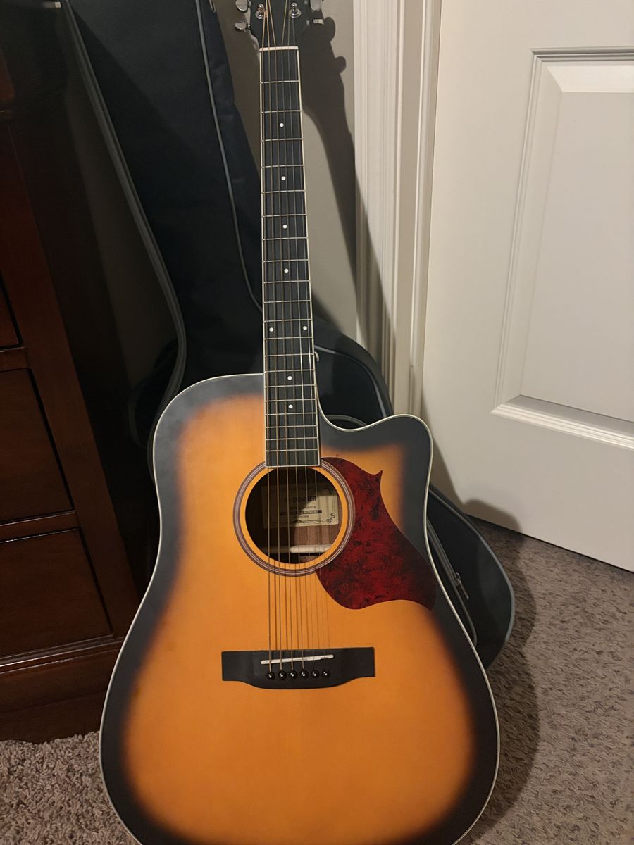 Donner Guitar