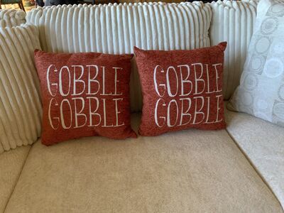 BRAND NEW THANKSGIVING ACCENT PILLOWS-18”X18”. $20 EACH. CASH/VENMO ONLY