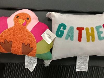 Thanksgiving decor/decorative pillows