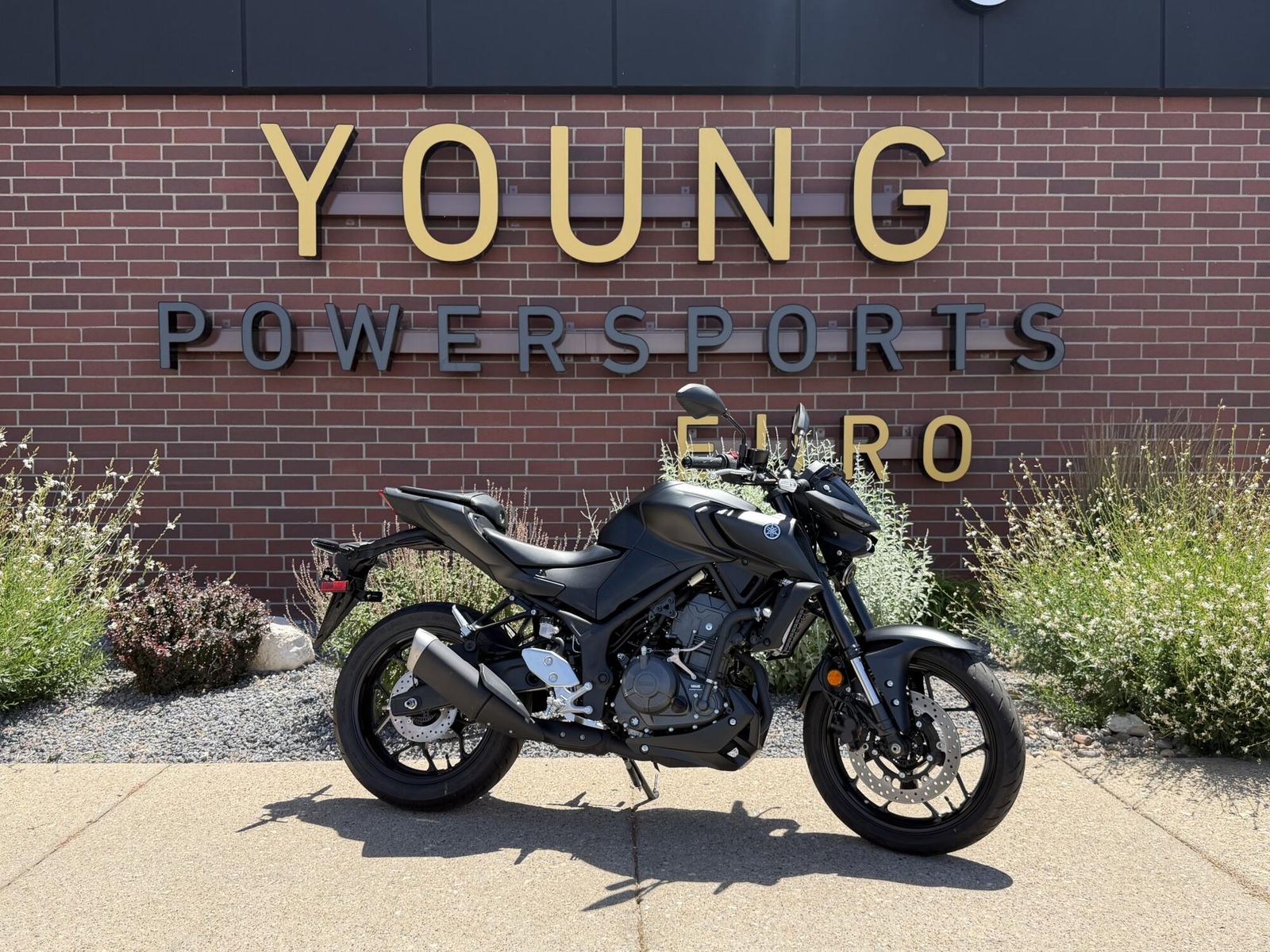 2025 Yamaha MT-03