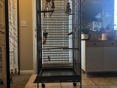 large bird cage