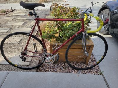 Rigi Bici Corta, 1979