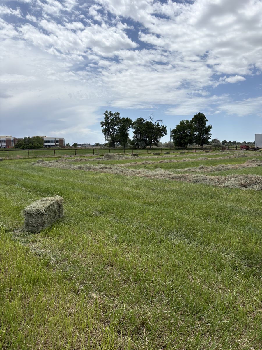 Main image 2