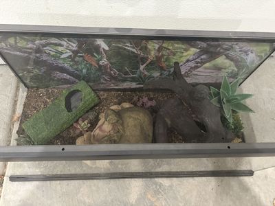 Terrarium Or Aquarium