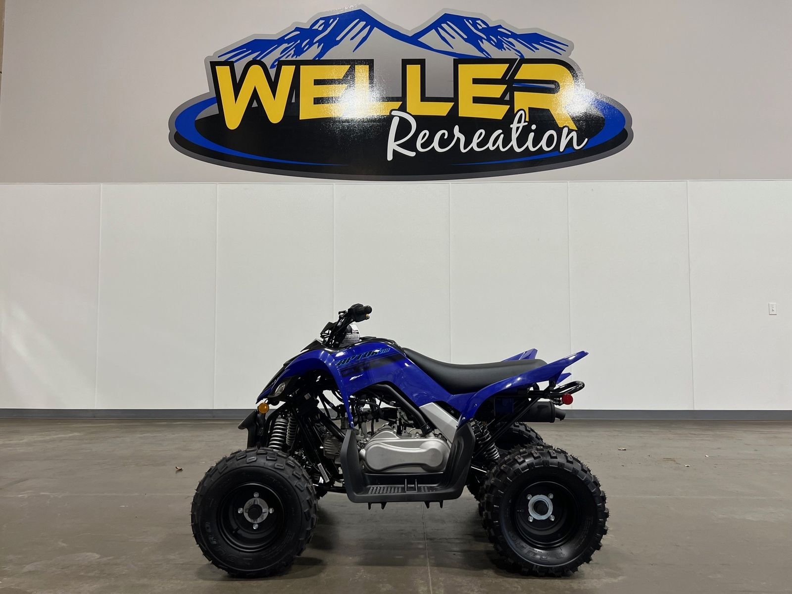 2025 YAMAHA ATV RAPTOR 110                          BLUE