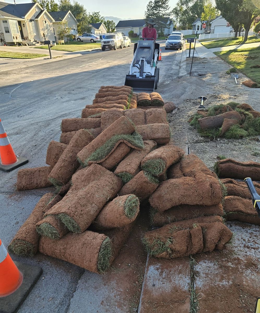 Fresh sod - left overs