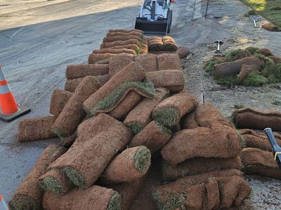 Fresh sod - left overs