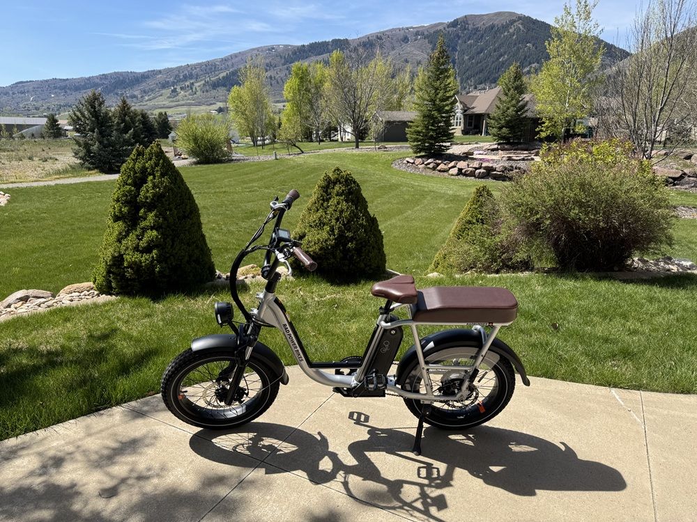 RadRunner Plus (Rad Power Bikes)