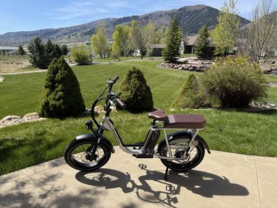 RadRunner Plus (Rad Power Bikes)