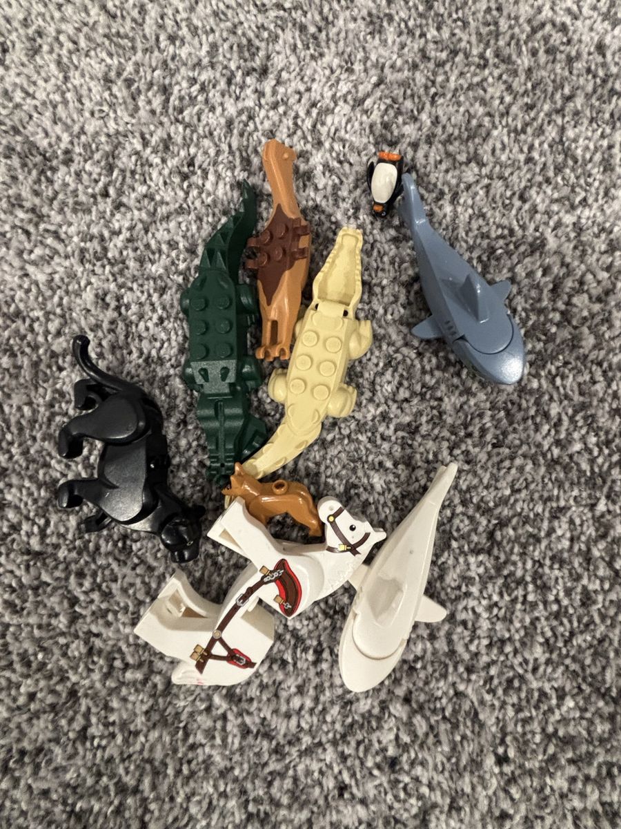 Main image 10