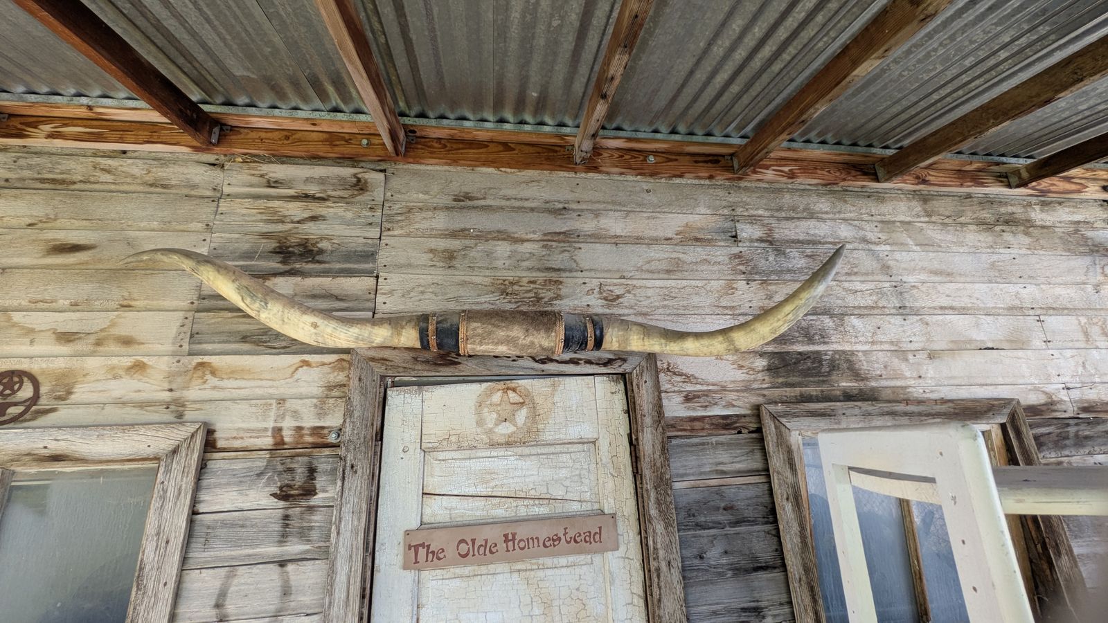 Antique Decorative Longhorns