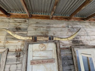 Antique Decorative Longhorns