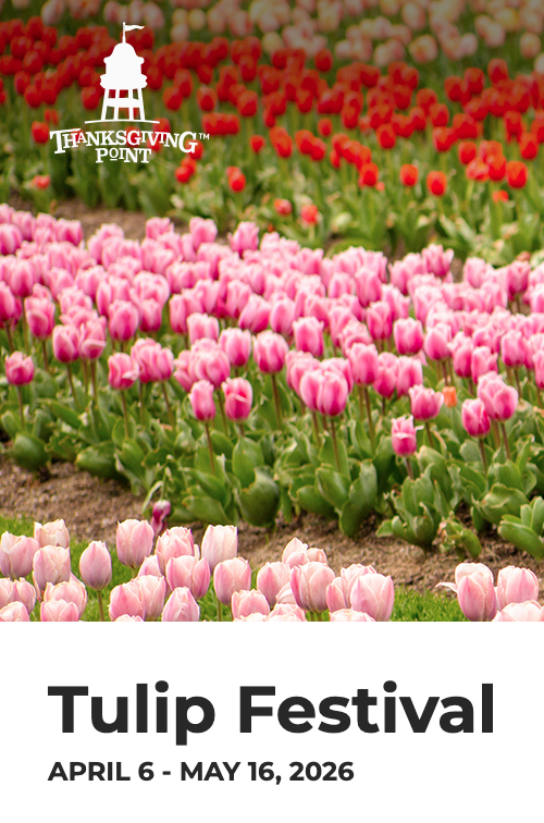 Thanksgiving Pt Tulip Festival Ticket