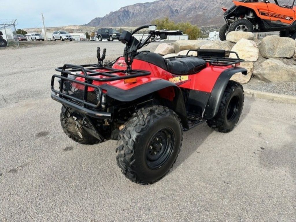 2001 Arctic Cat® 500 4X4