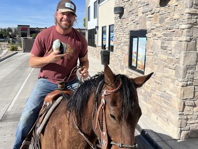 7-year-old gelding barrels, poles, western, trails, 4H
