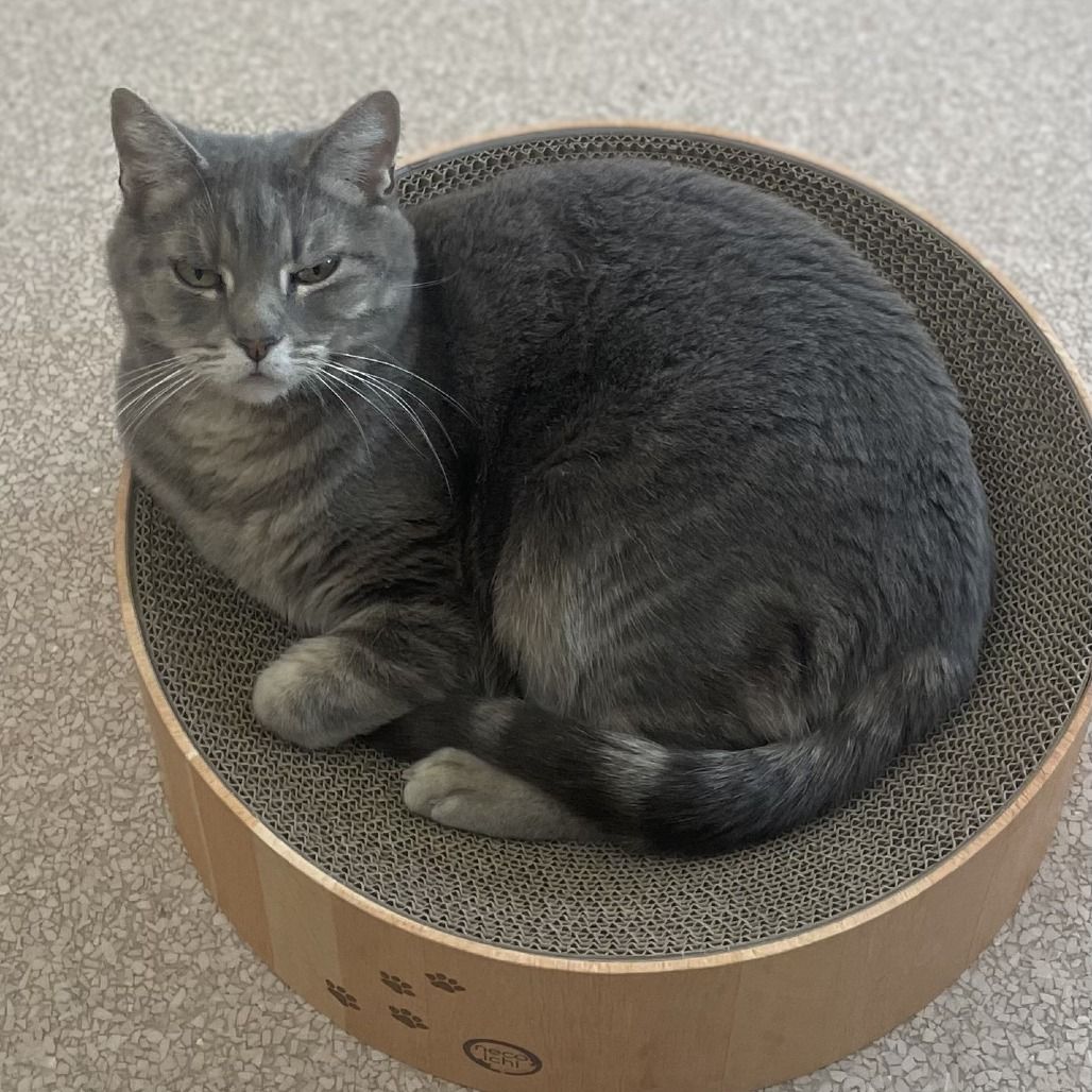 Hello my name is Sati