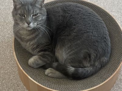 Hello my name is Sati