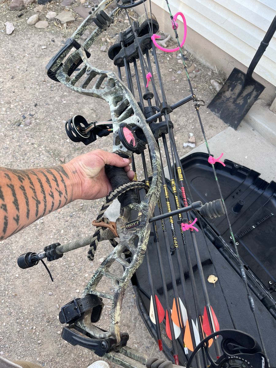 Hoyt bow
