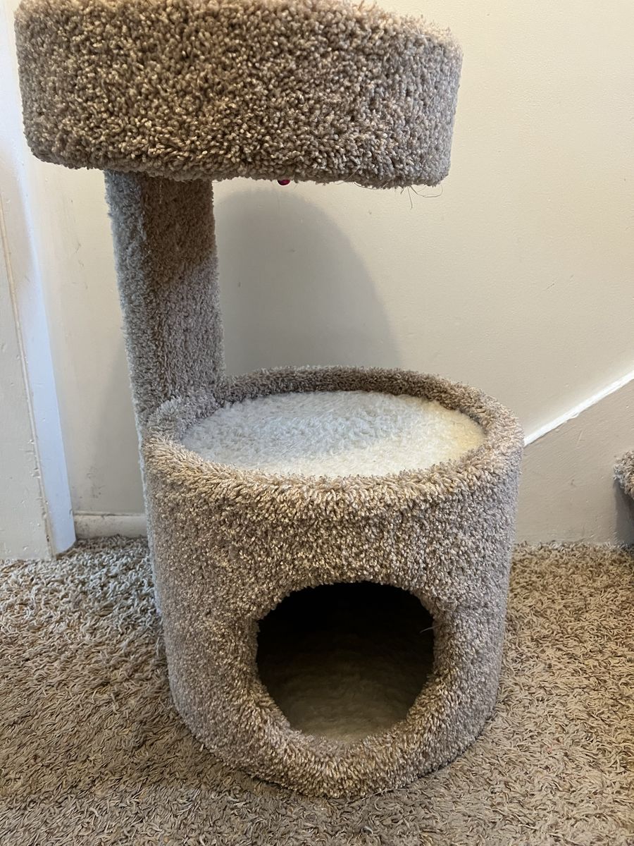 Cat or Kitten Scratching tree (small)