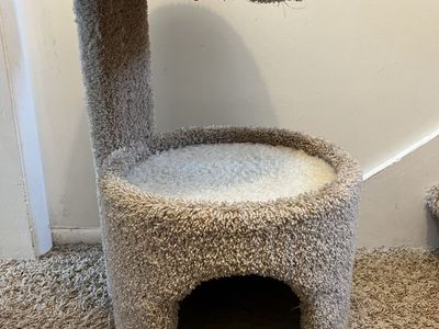 Cat or Kitten Scratching tree (small)