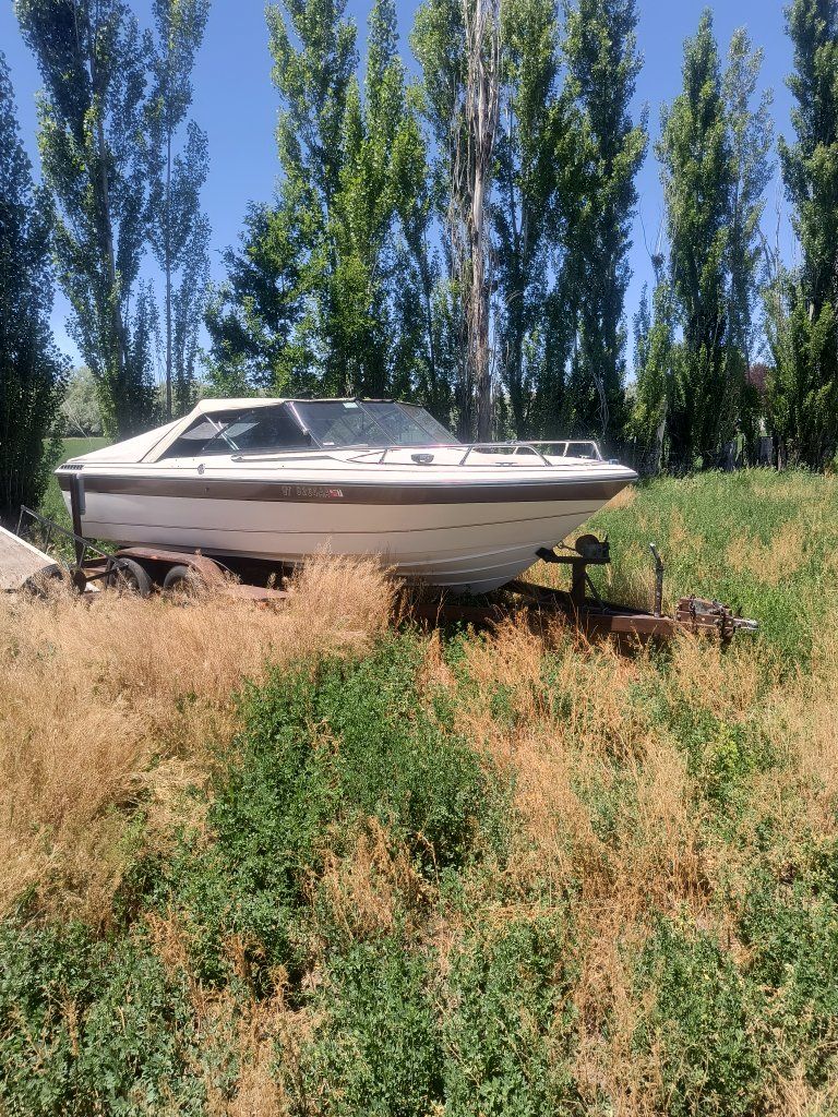 1987