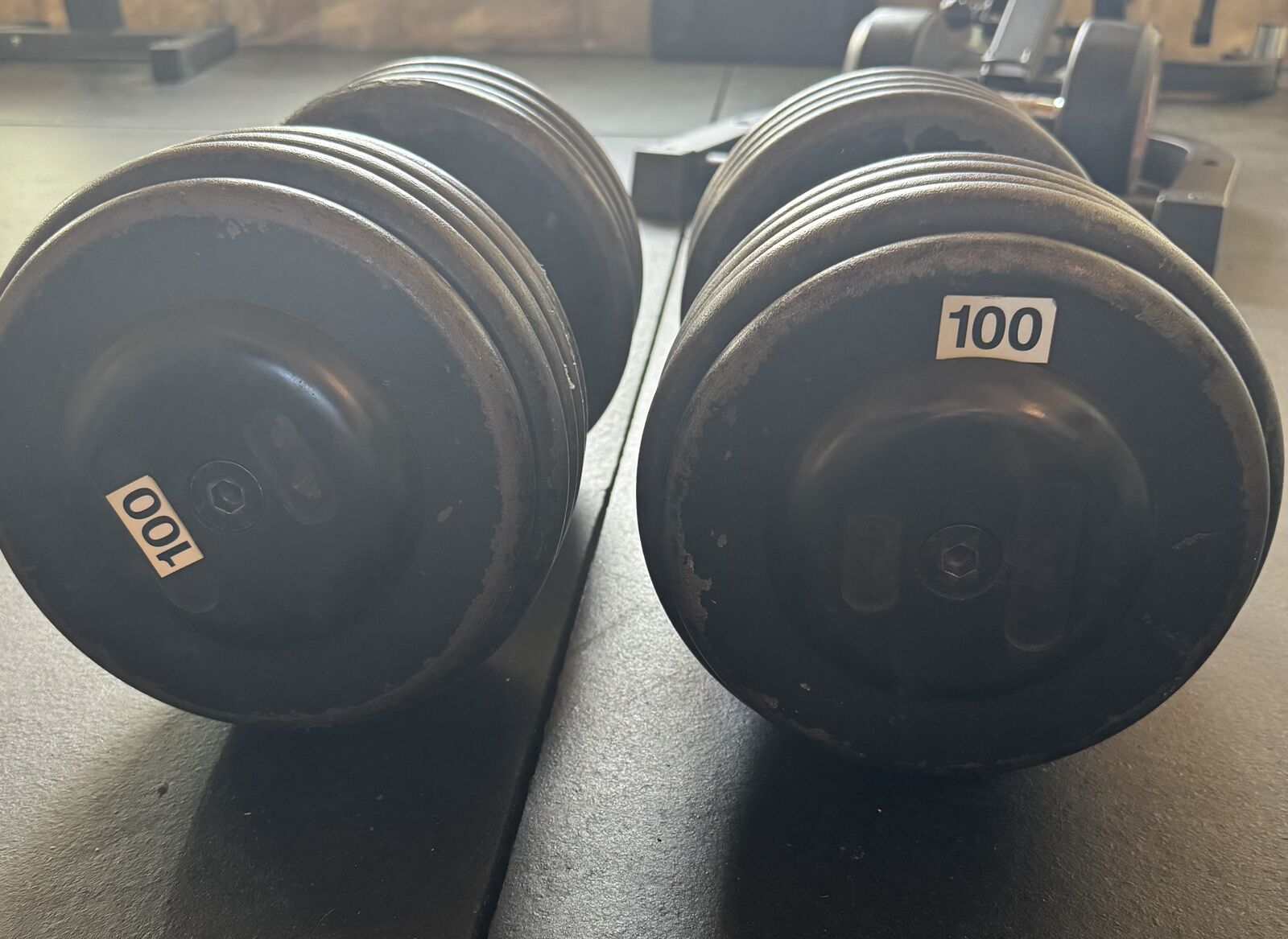 100lb Dumbbells
