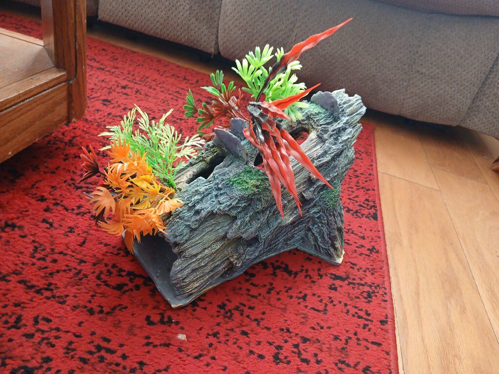 Hides and decorative food bowl