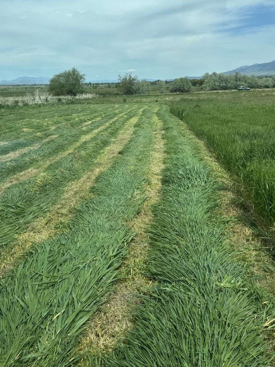 ISO farm ground to buy or work out a lease