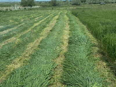 ISO farm ground to buy or work out a lease