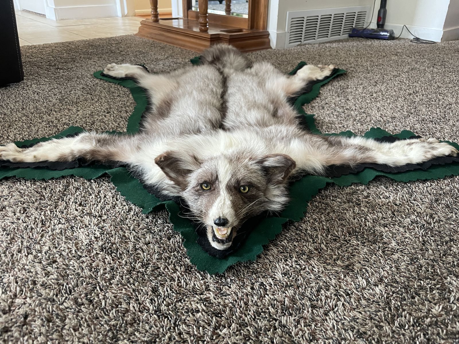 Silver Fox Taxidermy Rug
