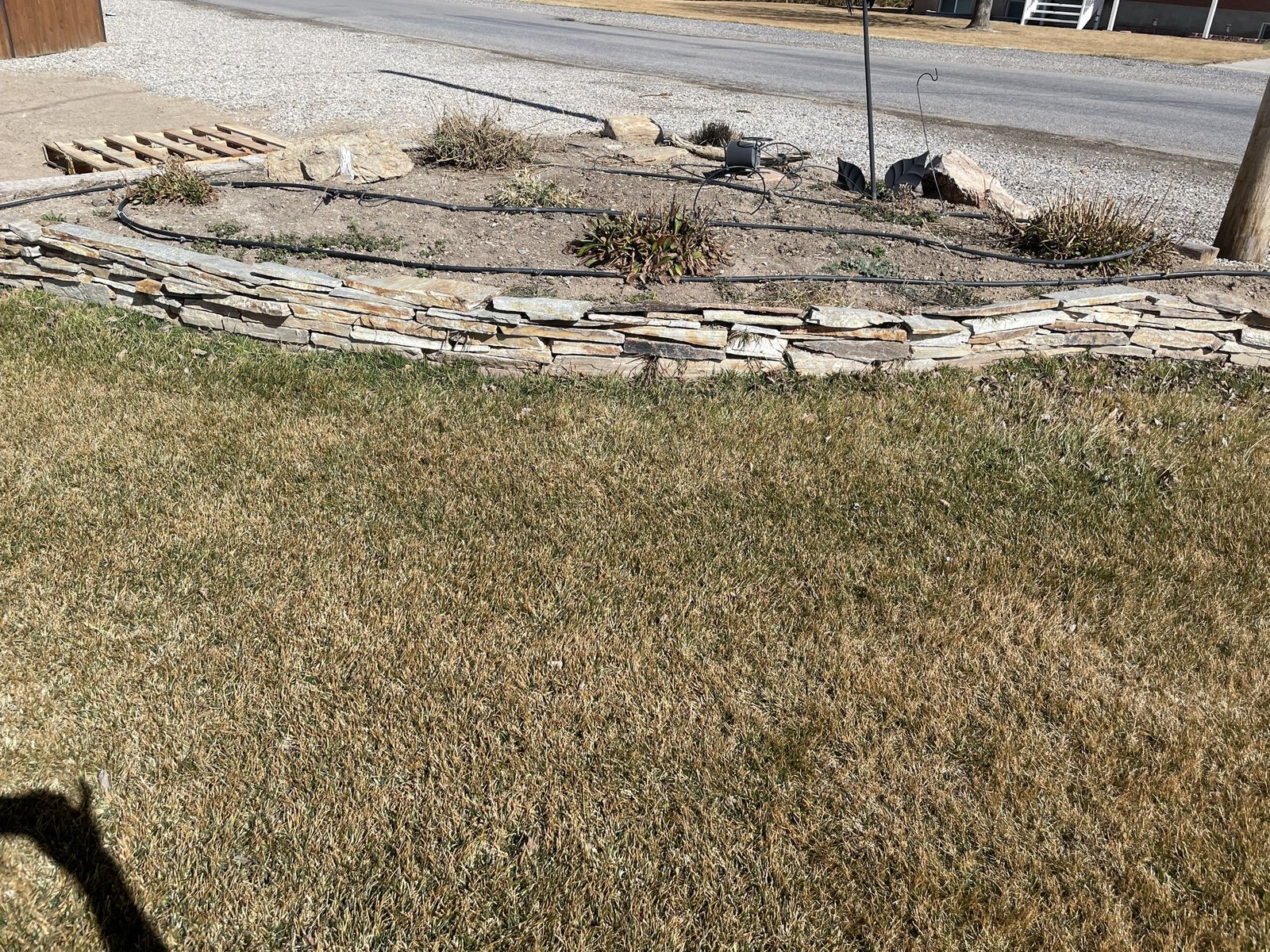 Main image 6
